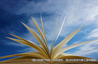 25fall必看|康奈爾大學研究生申請如何準備