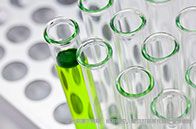 新加坡不同大學學費一樣嗎？