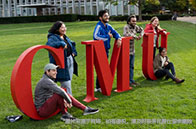 南洋理工大學(xué)提供實(shí)習(xí)機(jī)會(huì)嗎？