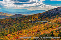 悲劇！明尼蘇達最大州立大學削減超90個課程