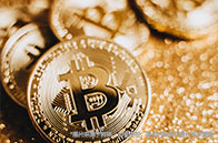 塔夫茨大學計算機本科專業研究領域