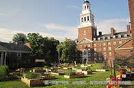 美國學(xué)費(fèi)最貴的大學(xué)top5