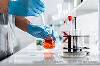 美國研究型碩士錄取條件有哪些？