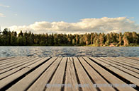 帝國理工金融學費一覽（本科/研究生）