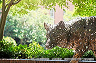 英屬哥倫比亞大學本科傳媒專業怎么樣？