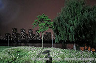 南洋理工大學(xué)一年學(xué)費(fèi)多少錢？