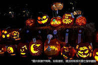 美國生物專業讀研能選擇什么專業？