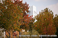 國內二本申請諾丁漢大學難嗎？