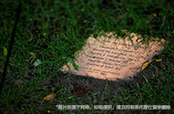 劍橋大學(xué)世界排名前十的專業(yè)有哪些？