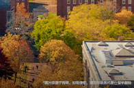 ubc哲學專業怎么樣？