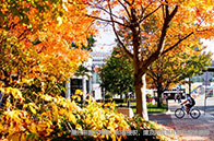 美國本科商學院入學要求有哪些？