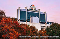 去紐約讀研究生要多少錢？