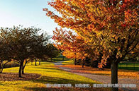 各檔高考分數能申請QS100哪些高校？