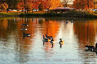 滑鐵盧大學生活費多少錢？