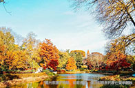 韋仕敦大學(xué)接受多領(lǐng)國(guó)成績(jī)嗎？