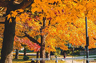 多倫多大學建筑研究專業申請條件有哪些？