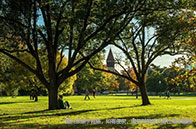 實力碾壓！NUS領銜亞洲地區前三強