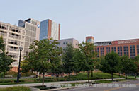 在線支招：留學生如何度過加拿大本科