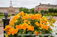 NTU大學電力工程碩士申請要求有哪些？