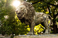 加拿大留學簽證變革開啟，封閉式學簽上臺