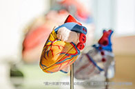 新加坡登錄全球百強城市前列：TOP5最佳城市