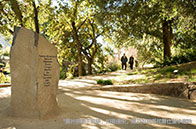 UNC教堂山分校招生偏好