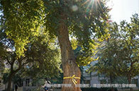 抗議加劇，留學生如何應對英國期末考試？