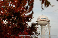 普渡大學與谷歌建立可持續發展和人工智能伙伴關系