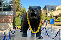 英國人最認可的大學有哪些？