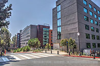 王牌院系|韋仕敦大學Ivey商學院