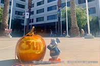 留學生注意啦！美國正式進入夏時令