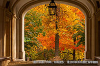 芝加哥大學醫學院建立皇冠點醫學中心