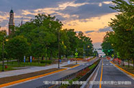 NUS最新研究：利用斑馬魚胚胎培養人類諾如病毒