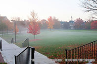 NTU發表革命性研究成果：極化子自旋霍爾效應