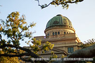 大批面簽取消！留學生如何拿下美國F1面簽