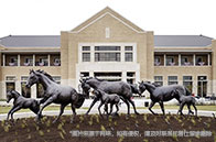 新加坡國立大學智能系統科技碩士介紹