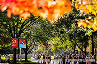 本科留學(xué)美國(guó)商科競(jìng)賽推薦（附全年比賽時(shí)間）