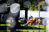 謝菲爾德大學學費多少錢？