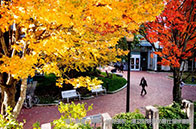 沉默是金！哈佛大學不再對公共問題發表立場聲明