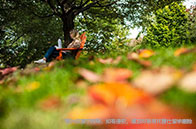 2025年芝加哥大學qs排名多高？創下歷史最低！