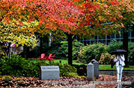 新加坡高校斬獲2024ABC世界大學榜單前五十