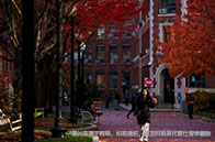 重大！新加坡國立大學落成人工智能研究所