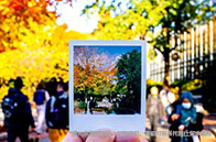 南洋理工大學(xué)傳播學(xué)研究生一年學(xué)費多少？