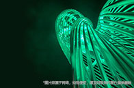 2028屆鮑登學(xué)院錄取數(shù)據(jù)公布：國內(nèi)慘淡