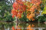 加拿大女王大學留學費用貴嗎？