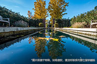 扎心！熱門留學國家學費暴漲引關注