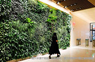 英國(guó)大學(xué)錄取Rolling和Round有什么區(qū)別？