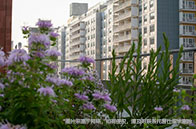 NTU大學2023年各學院招生情況：擴招明顯