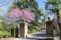 諾丁漢大學一年制碩士值得讀嗎？