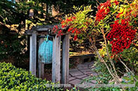 重磅！最適合國際生的亞洲大學前三出爐！